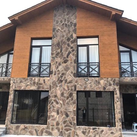 Bakuriani Cozy Villa #4 Eksteriør bilde