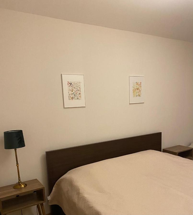 Bakuriani Cozy Villa #4 Eksteriør bilde